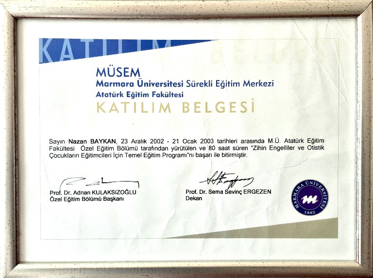 Zeynep Nazan Baykan Zihin Engelliler ve Otistik Çocukların Eğitimcileri İçin Temel Eğitim Programı.