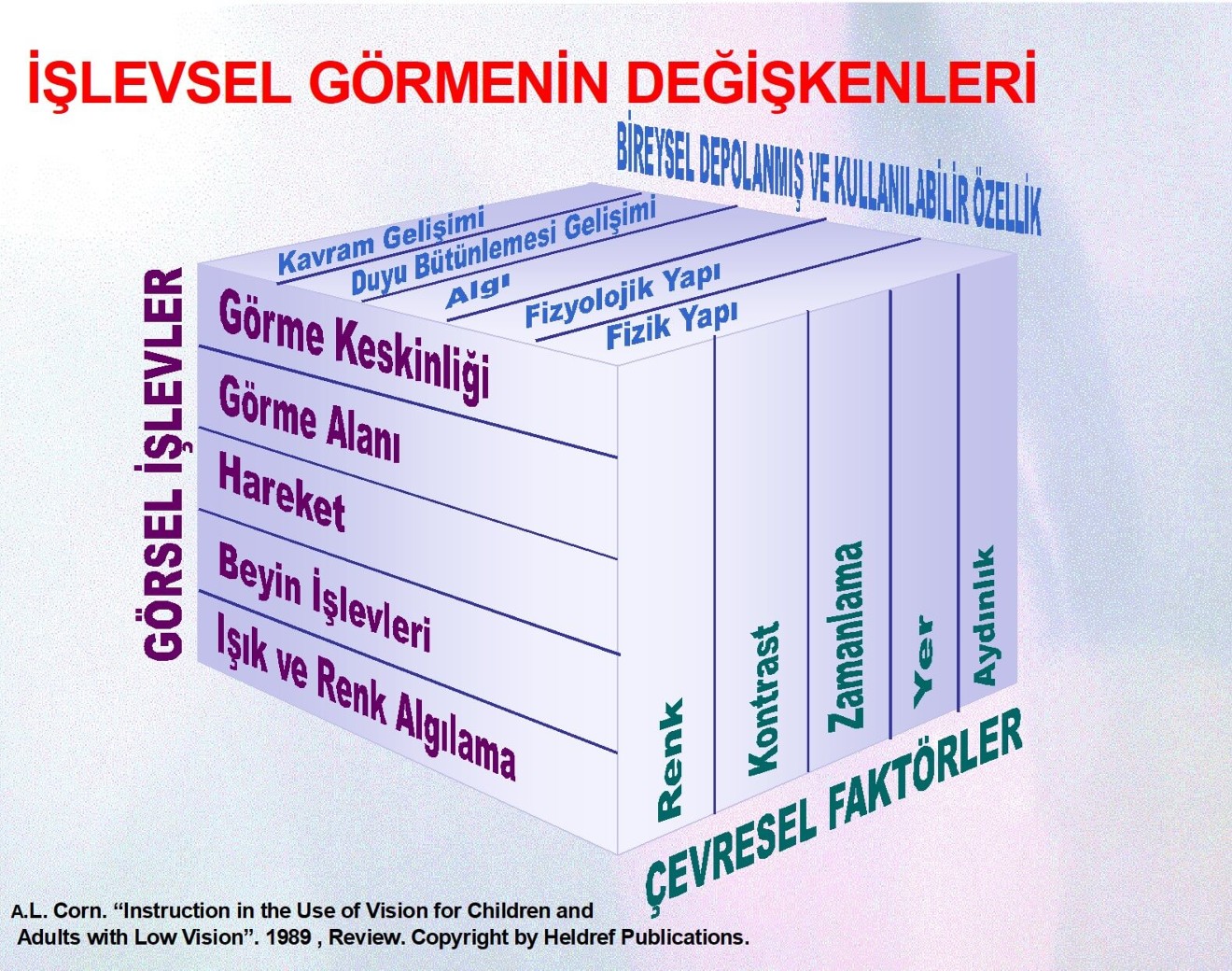 İşlevsel görmenin değişkenleri
