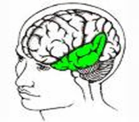 ventral-stream-on-akim