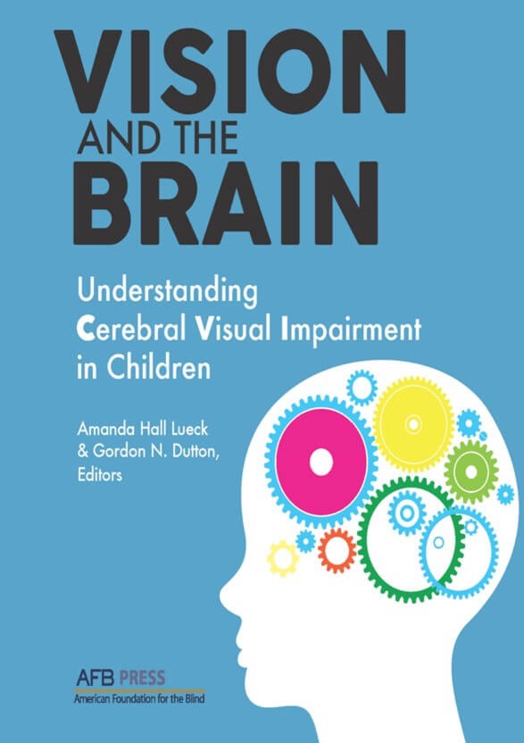 vision and the brain