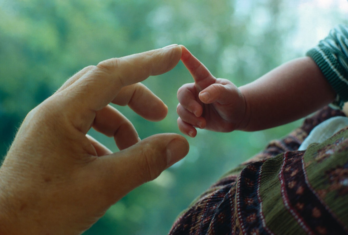 Erken Gelişim ve Görme.